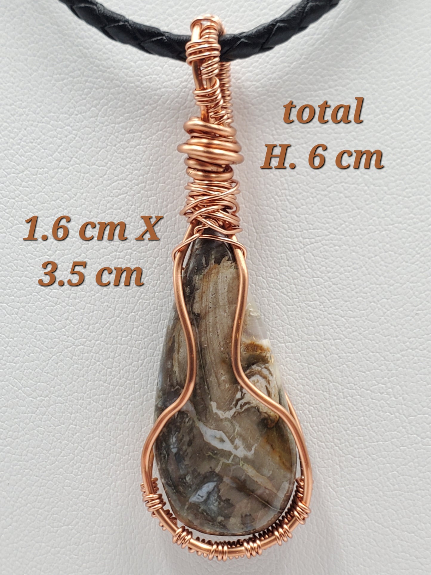 Petrified wood