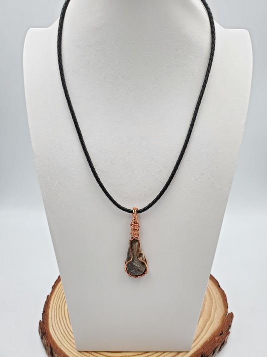 Petrified wood