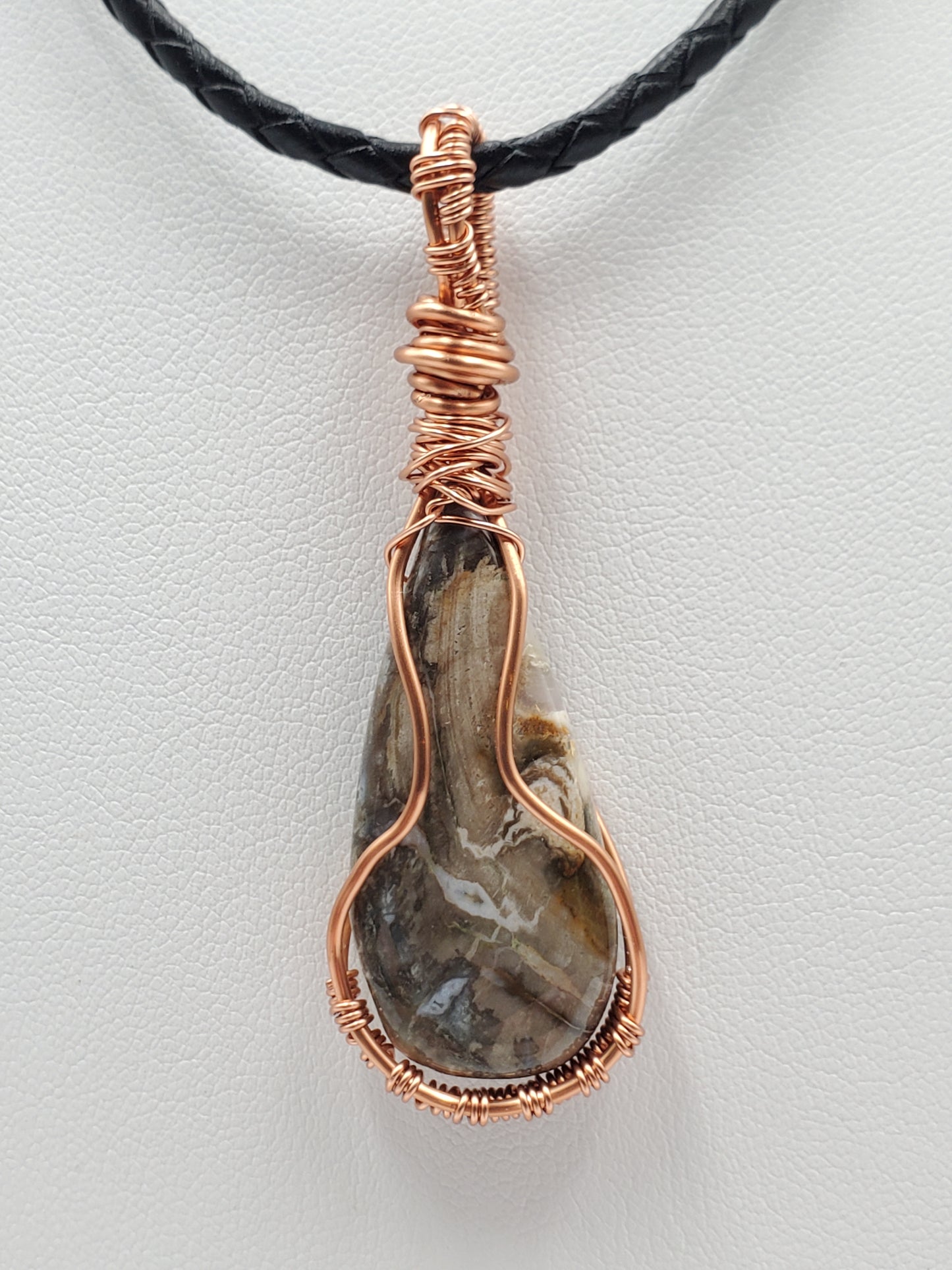 Petrified wood